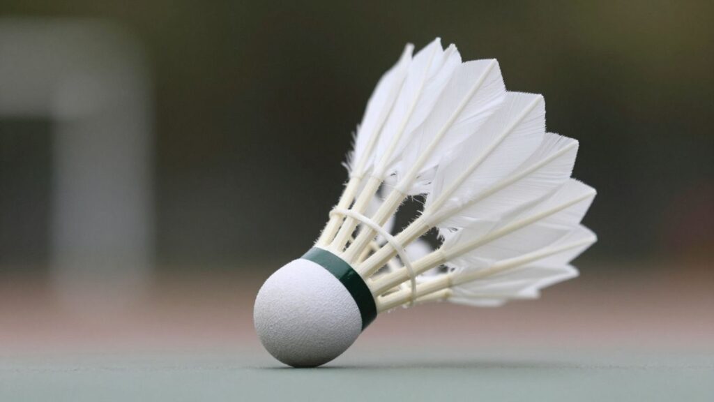 Feathered shuttlecock in flight